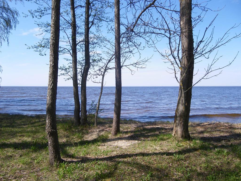 Kiviranna Puhkemajad Villa Suure-Rakke Buitenkant foto